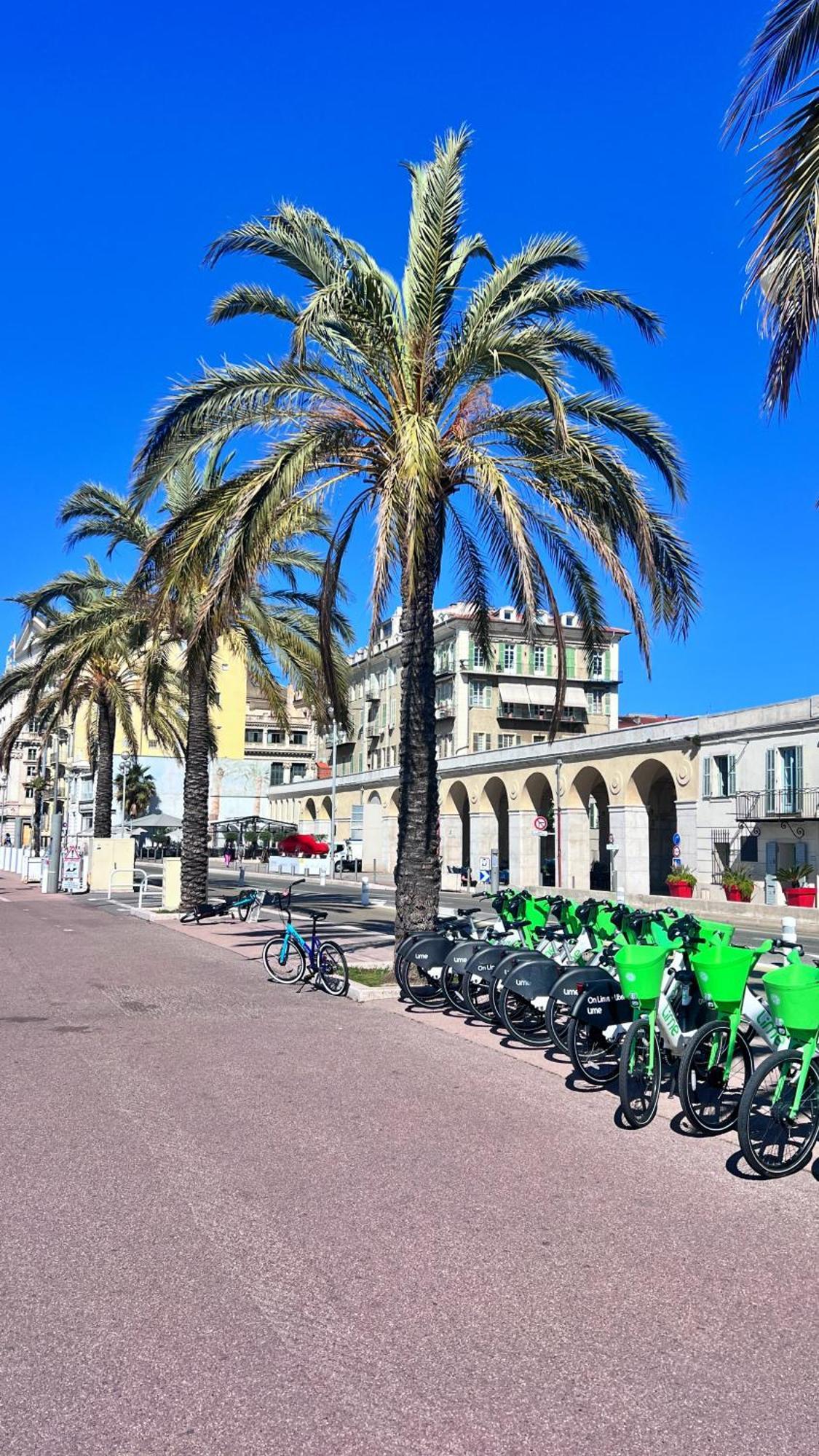 Le Saint Honore A 500 Metres A Pied De La Plage ニース エクステリア 写真